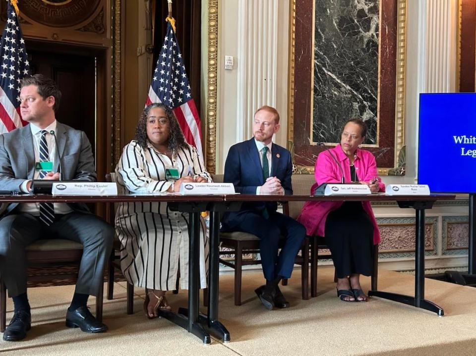 Senate Minority Leader Raumesh Akbari, D-Memphis, speaks on a panel focused on gun violence prevention at the White House this month.