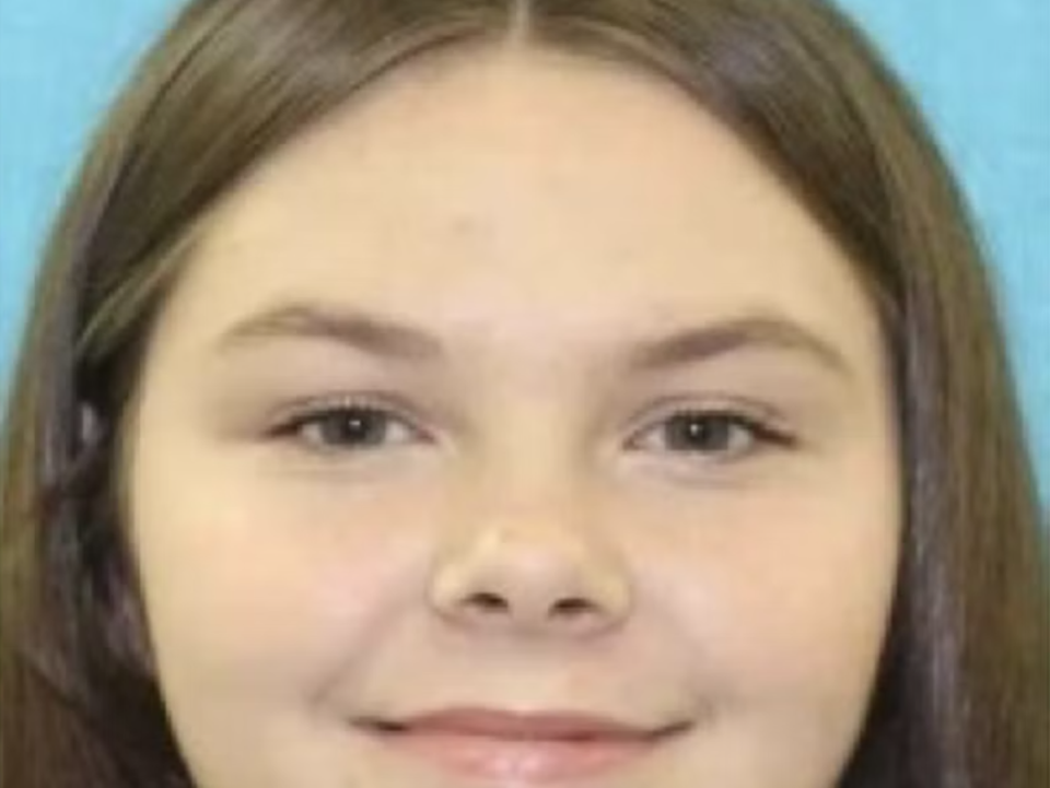 Alexis Vidler, 17, has been missing from her home in Celina, Texas, since 2 January (Texas Department of Public Safety)