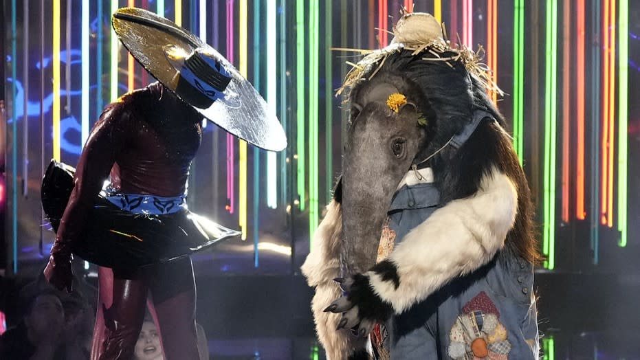  Anteater performs on One-Hit Wonders Night on The Masked Singer season 10. 