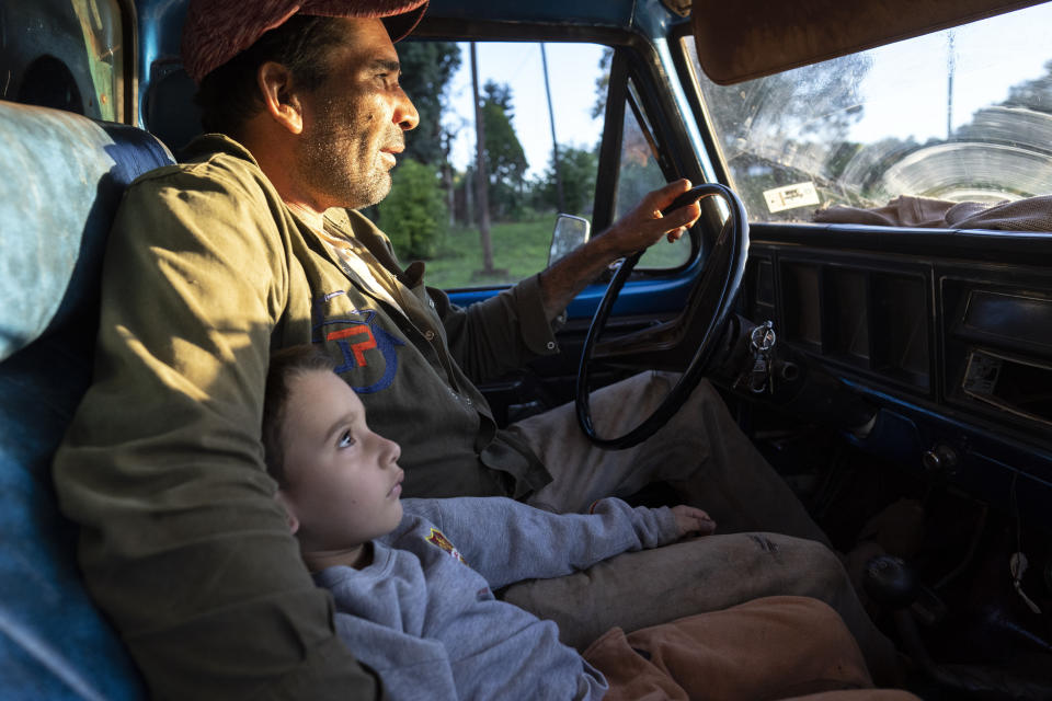 El capataz de producción de yerba mate Antonio Francisco Pereyra conduce con Facundo, su hijo de 4 años, bajo el brazo para entregar la paga semanal a su equipo en Andresito, en la provincia argentina de Argentina, el viernes 19 de abril de 2024.Durante décadas, el gobierno argentino ha apoyado la industria con controles de precios y subsidios, pero para resolver la crisis financiera de Argentina, el presidente Javier Milei busca eliminar las regulaciones que afectan a distintos mercados, incluido el de la yerba mate. (AP Foto/Rodrigo Abd)