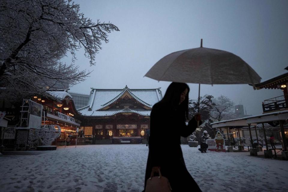 Cold weather: A woman walks at Kanda Shrine during a snowfall (AFP/Getty Images)