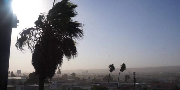 Este martes llegan vientos de Santa Ana a Tijuana 