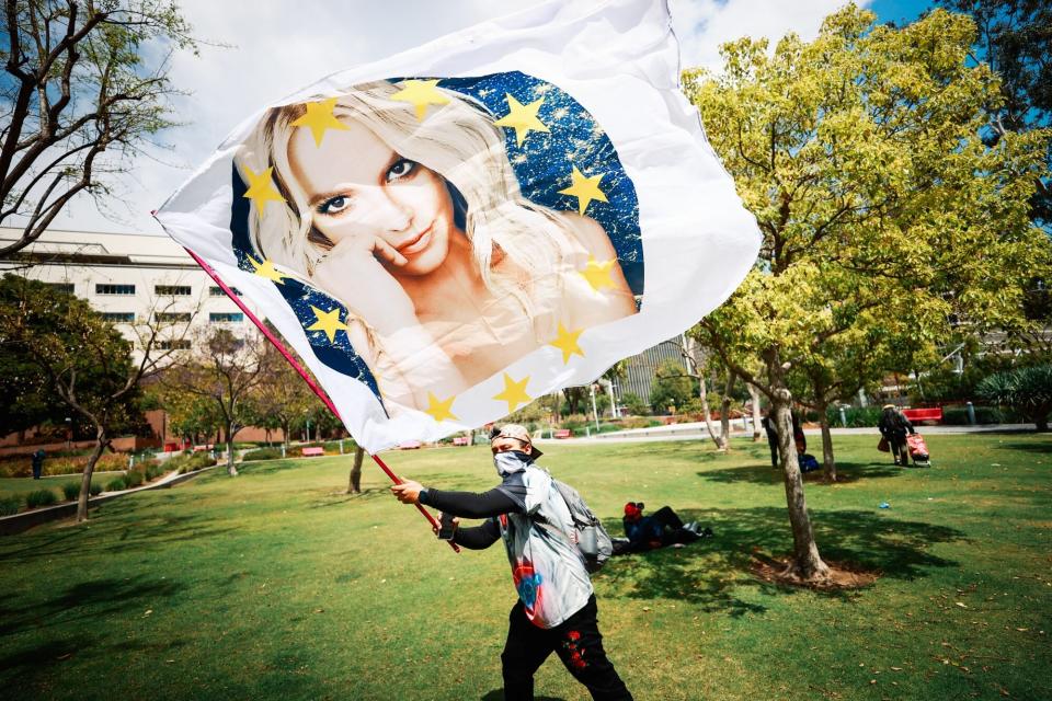 Free Britney flag