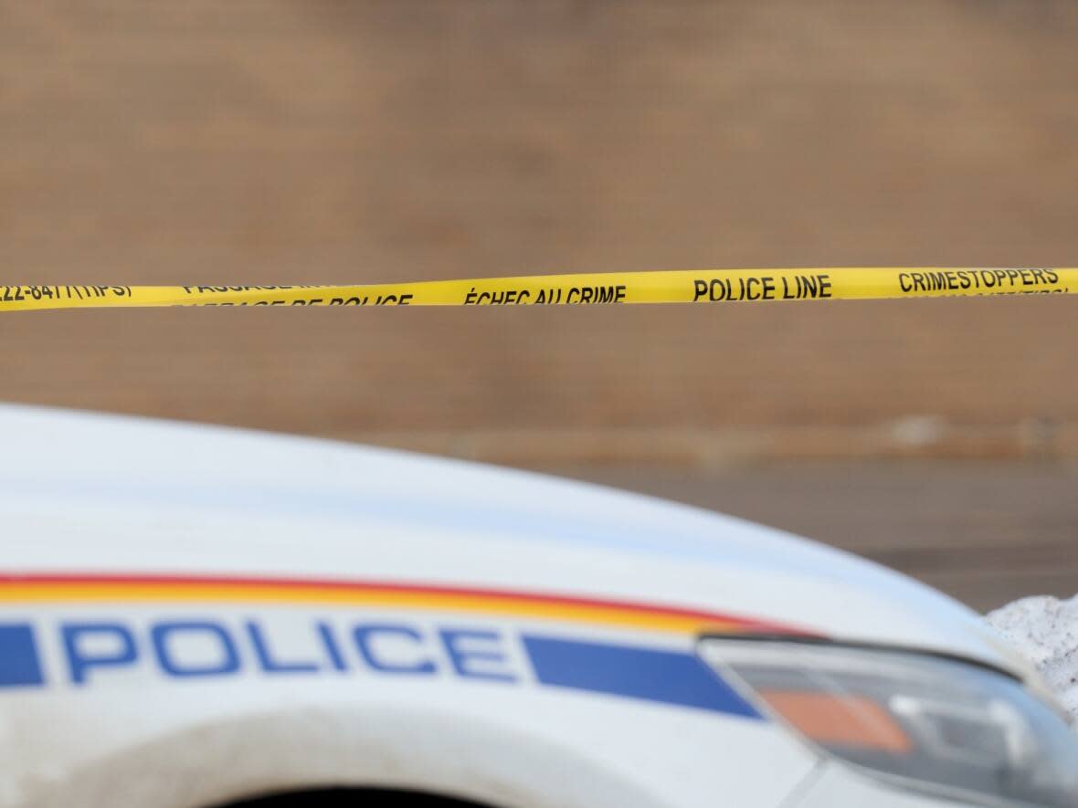 Carleton North and Hartland are seeking to switch from RCMP to a regional police service.  (Shane Magee/CBC file photo - image credit)