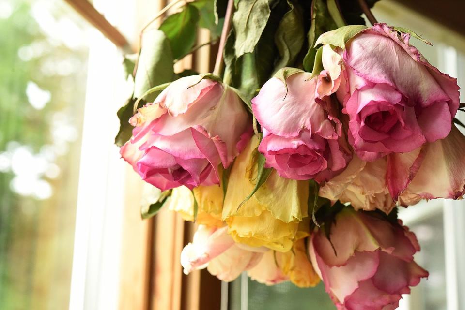 a bouquet of pink and yellow roses hung upside down to dry