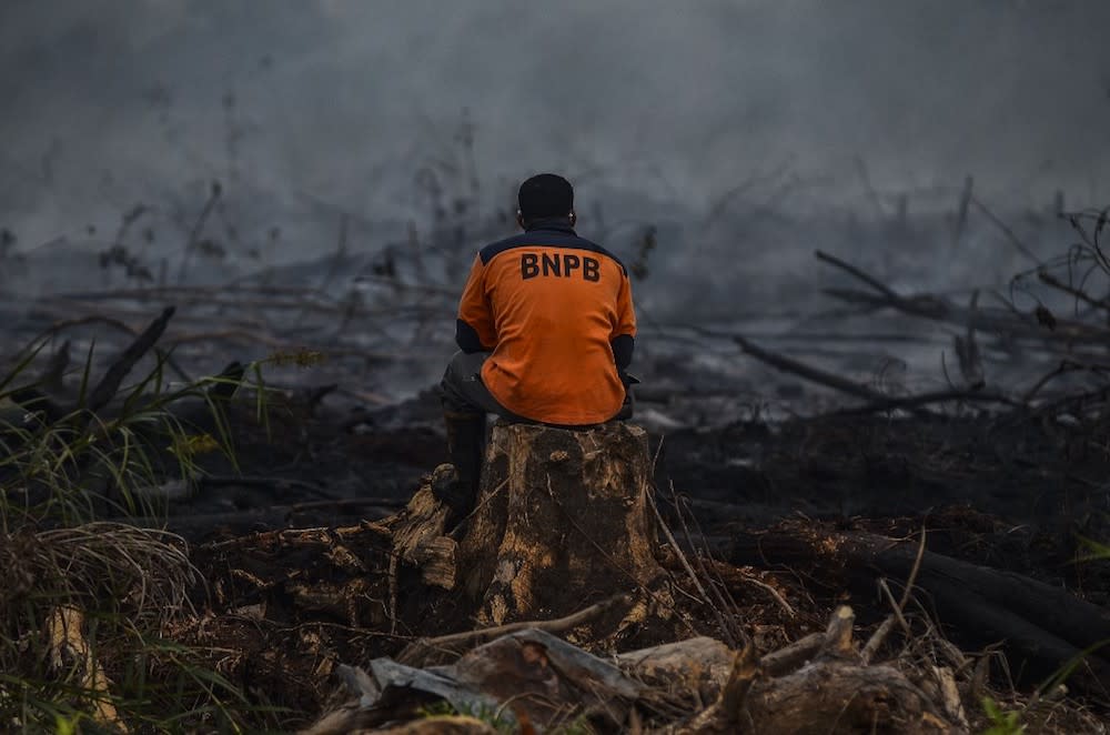 Acrid smoke from illegal burning has covered western and central regions of Indonesia and parts of Malaysia, with thousands of people reporting acute respiratory illness. — AFP pic