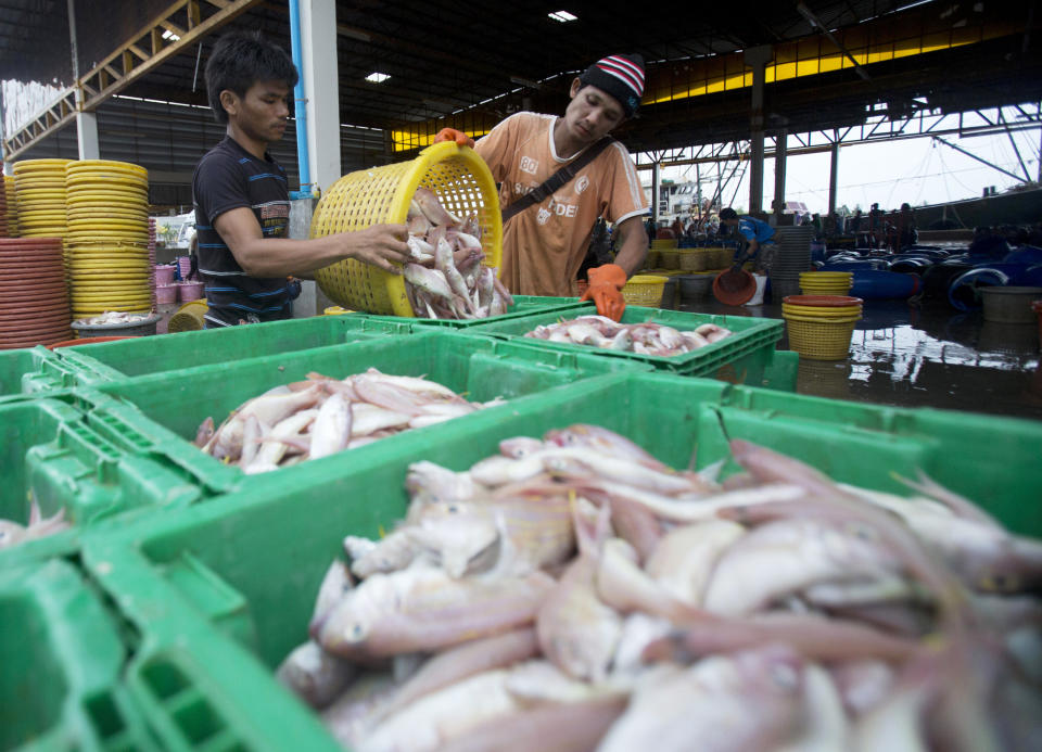 FILE - In this June 20, 2014, file photo, migrant workers separate freshly caught fish by size at a fish market in Samut Sakhon Province, west of Bangkok. Thailand reported more than 500 new coronavirus cases on Saturday, Dec. 19, 2020, the highest daily tally in a country that had largely brought the pandemic under control. (AP Photo/Sakchai Lalit, File)