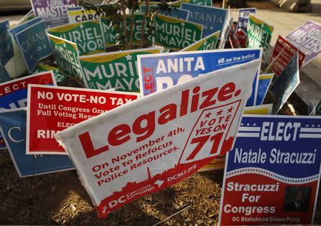 A DC Cannabis Campaign sign is seen with other campaign signs in Washington, in this November 4, 2014 file photo. REUTERS/Gary Cameron/Files