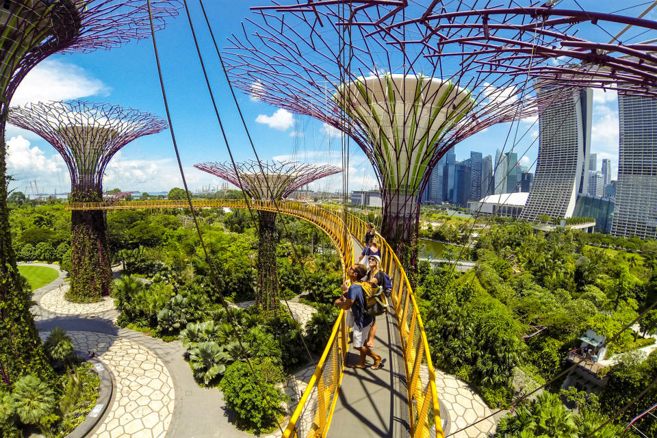 The elevated OCBC Skyway through the Supertrees at the Gardens by the Bay. (PHOTO: Getty Images)