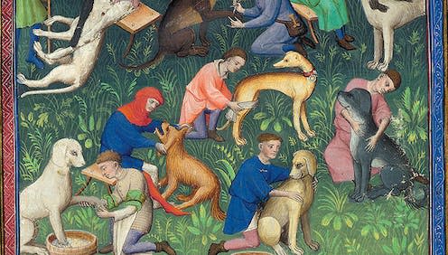 <span class="caption">Dogs being taken care of in an image from Livre de la Chasse (Book of the Hunt). </span> <span class="attribution"><a class="link " href="https://www.themorgan.org/collection/livre-de-la-chasse/32" rel="nofollow noopener" target="_blank" data-ylk="slk:The Morgan Library and Museum/Faksimile Verlag Luzern;elm:context_link;itc:0;sec:content-canvas">The Morgan Library and Museum/Faksimile Verlag Luzern</a></span>