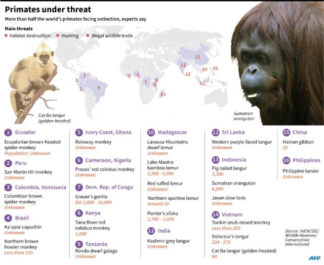 More than half of all apes, monkeys and other primates at risk of