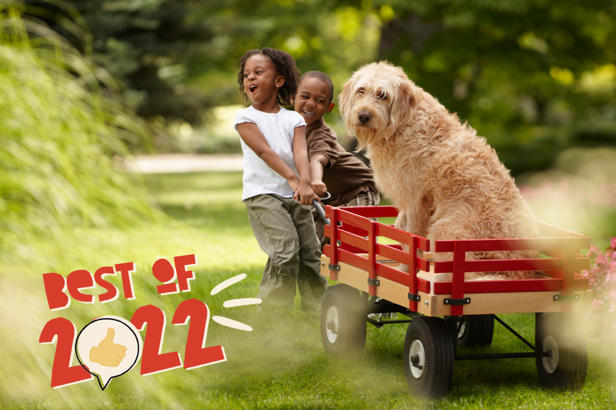 two kids pulling a dog in a red wagon; best dog names of 2022