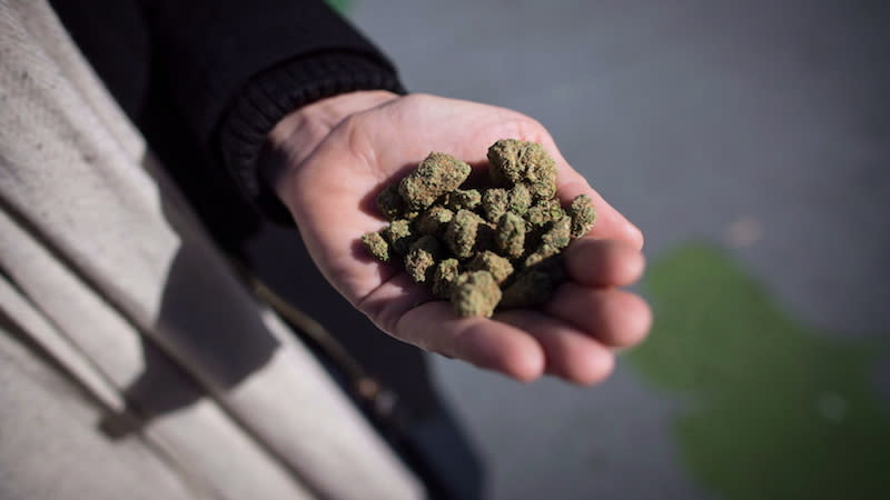 A man holds marijuana in Vancouver on Oct. 17, 2018, which is the day cannabis became legal for recreational use in Canada. Transport Canada now allows Canadians to travel with up to 30 grams of marijuana on domestic flights. Photo from The Canadian Press.