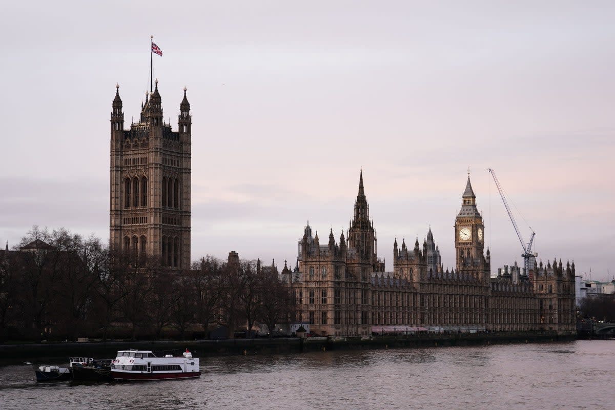 A view of the Palace of Westminster (Jordan Pettitt/PA) (PA Wire)