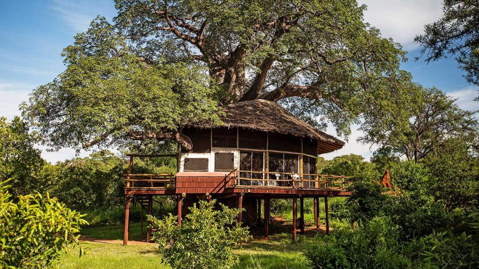 Elewana Tarangire Treetops (Tarangire National Park, Tanzania)