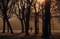 LONDON, ENGLAND - DECEMBER 12: A man walks through the early morning frost in Regents Park on December 12, 2012 in London, England. Forecasters have warned that the UK could experience the coldest day of the year so far today, with temperatures dropping as low as -14C, bringing widespread ice, harsh frosts and freezing fog. Travel disruption is expected with warnings for heavy snow in some parts of the country. (Photo by Dan Kitwood/Getty Images)