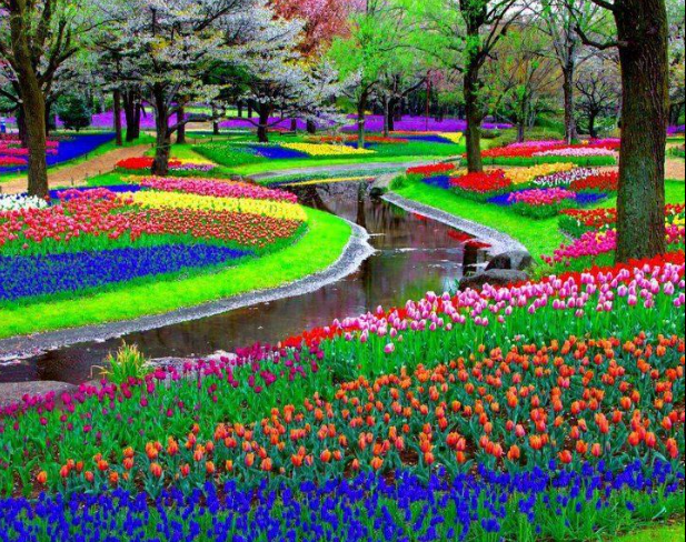 Keukenhof, The Netherlands - Also famous as the Garden of Europe, this is where the song ‘Dekha Ek Khwab’ from Silsila was shot. Well, every step on this piece of land is worth a dream. The world’s largest flower garden as it is, this land stretched across 32 hectares gets planted with around 7 million flower bulbs every year. If you want to witness the best view of glowing tulips, visit Keukenhof during mid-March to mid-May.