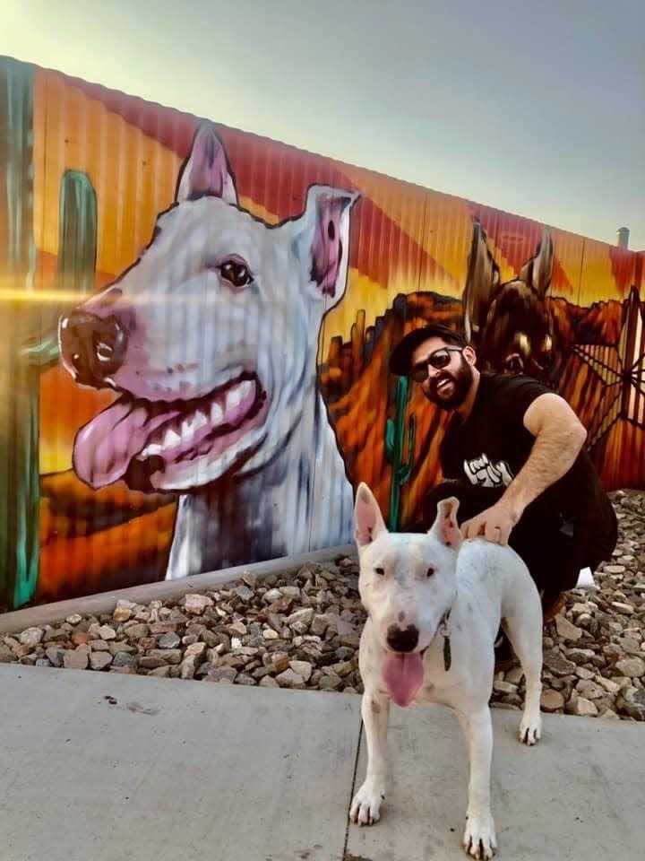 Even local canines are featured in some Globe murals.