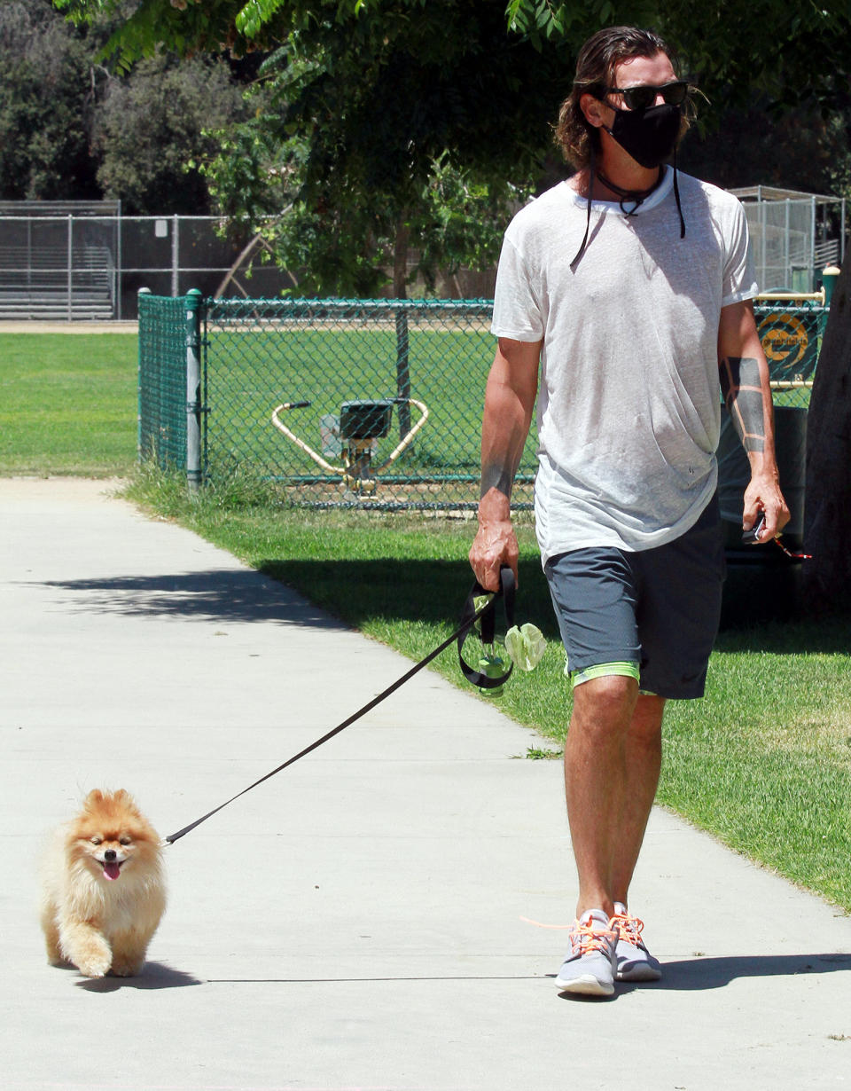 <p>Gavin Rossdale masks up for a walk with his dog in Los Angeles on Friday.</p>