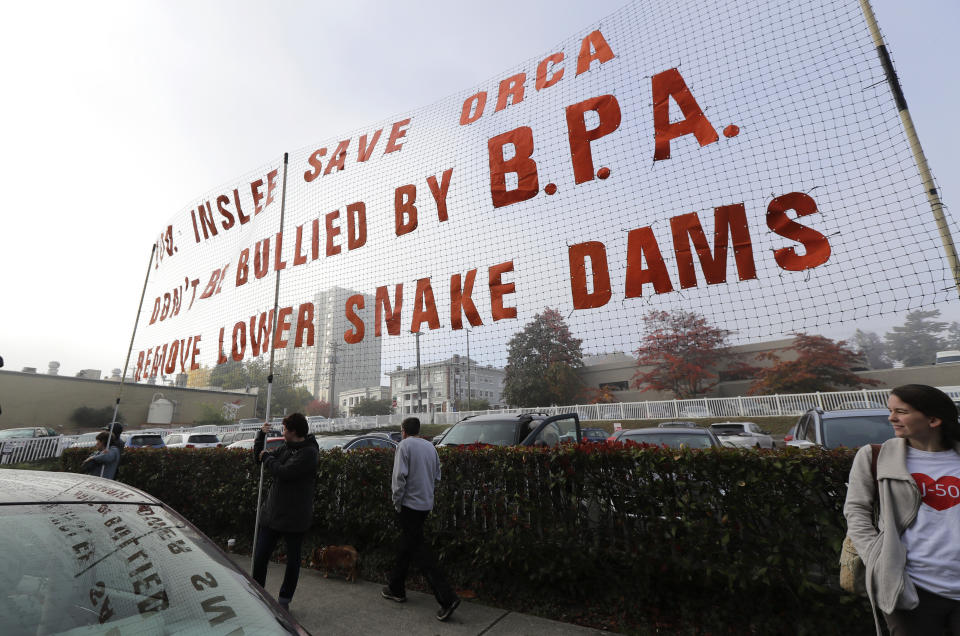 In this Oct. 17, 2018 photo, supporters of dam removals and other measures intended to help endangered orca whales stand near a large sign a outside a building in Tacoma, Wash., where the Southern Resident Killer Whale Recovery Task Force was meeting for a two-day work session. Calls to breach four hydroelectric dams in Washington state have grown louder in recent months as the plight of the critically endangered Northwest orcas has captured global attention. (AP Photo/Ted S. Warren)