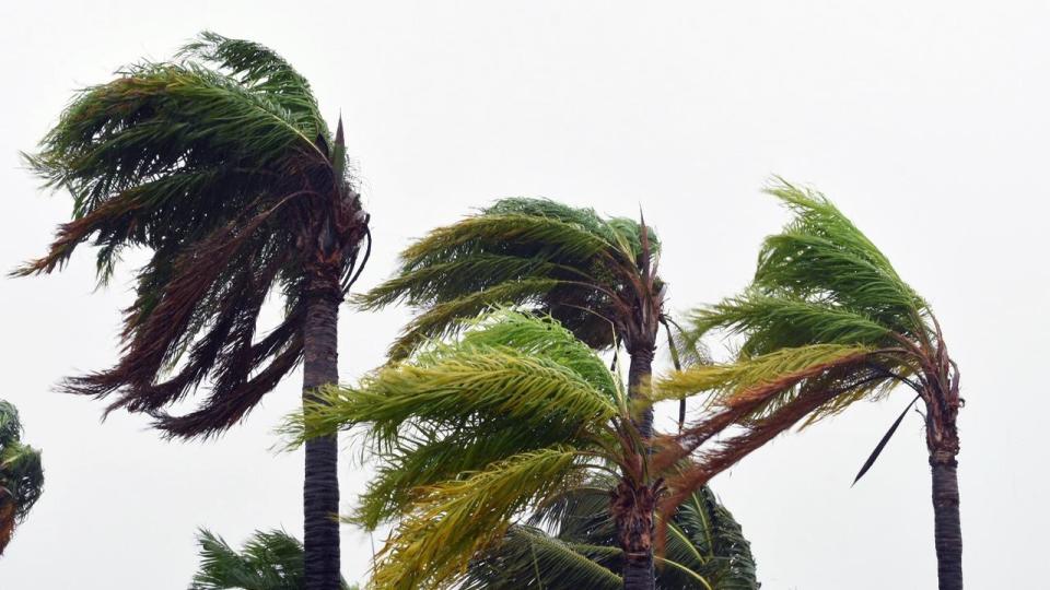 A Queensland teen has died after being washed away in ex-Tropical Cyclone Owen floods.