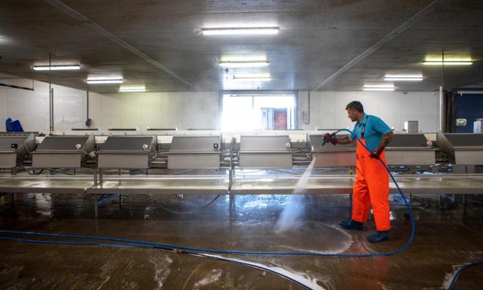 Cleaning up in Grimsby fish market.