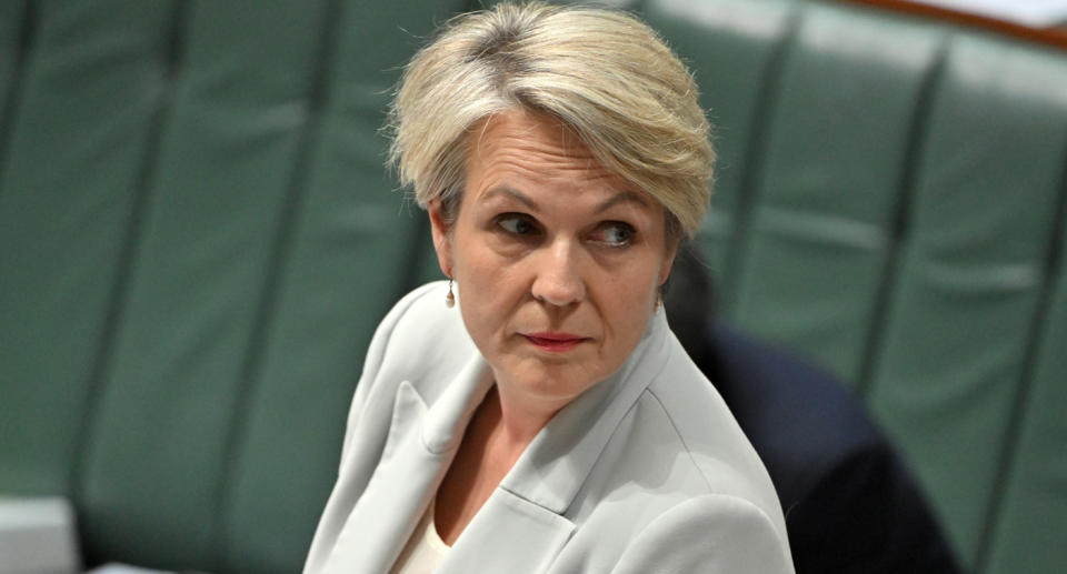 Tanya Plibersek in parliament