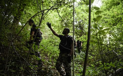 French gendarmes search through a forest in Pont-de-Beauvoisin on August 30 - Credit: PHILIPPE DESMAZES/AFP