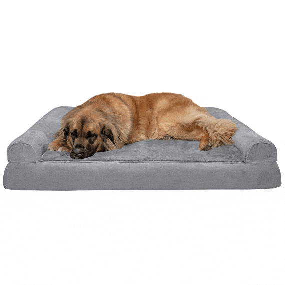 3) Pet Sofa Style Dog Bed