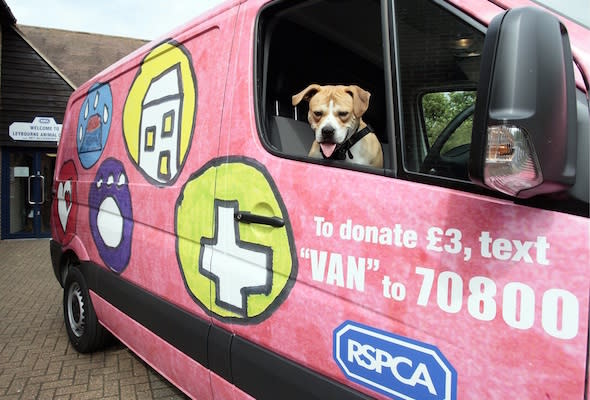 VW van at Leybourne RSPCA rescue centre (Maidstone) photo Sean Aidan.