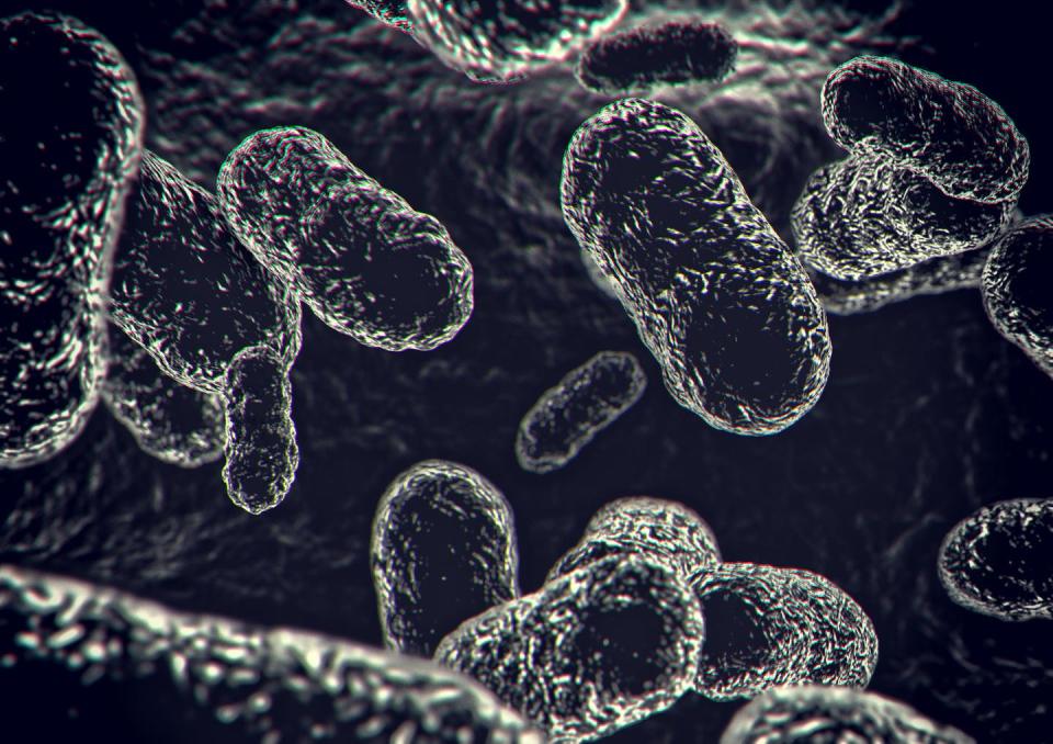 Bacteria can team up with viruses to cause coinfections. <a href="https://www.gettyimages.com/detail/photo/microscopic-view-of-bacteria-or-virus-moving-in-a-royalty-free-image/1328434309" rel="nofollow noopener" target="_blank" data-ylk="slk:Erlon Silva - TRI Digital/Moment via Getty Images;elm:context_link;itc:0;sec:content-canvas" class="link ">Erlon Silva - TRI Digital/Moment via Getty Images</a>