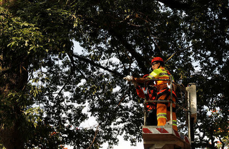 Sao Paulo's Mayor Joao Doria wears a Municipal worker's uniform as he prunes a tree during the "Pretty City" campaign in Sao Paulo, Brazil, March 25, 2017. REUTERS/Nacho Doce