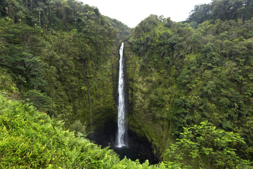 "These picturesque Hawaiian falls are home to a rare species of fish that uses a special sucker to climb up cliffs."