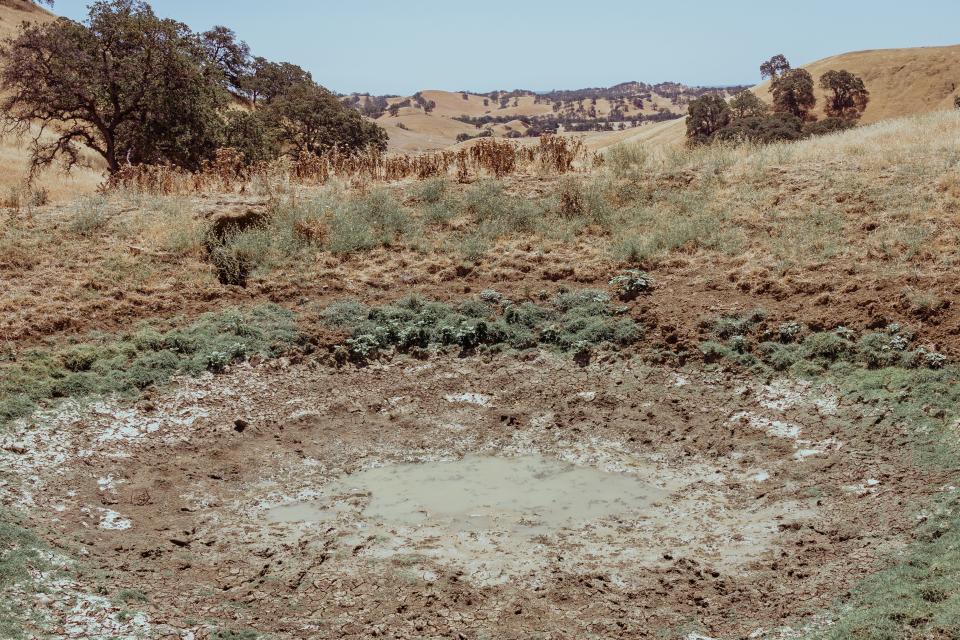 A drying ditch of water surrounded by golden grassy hills.