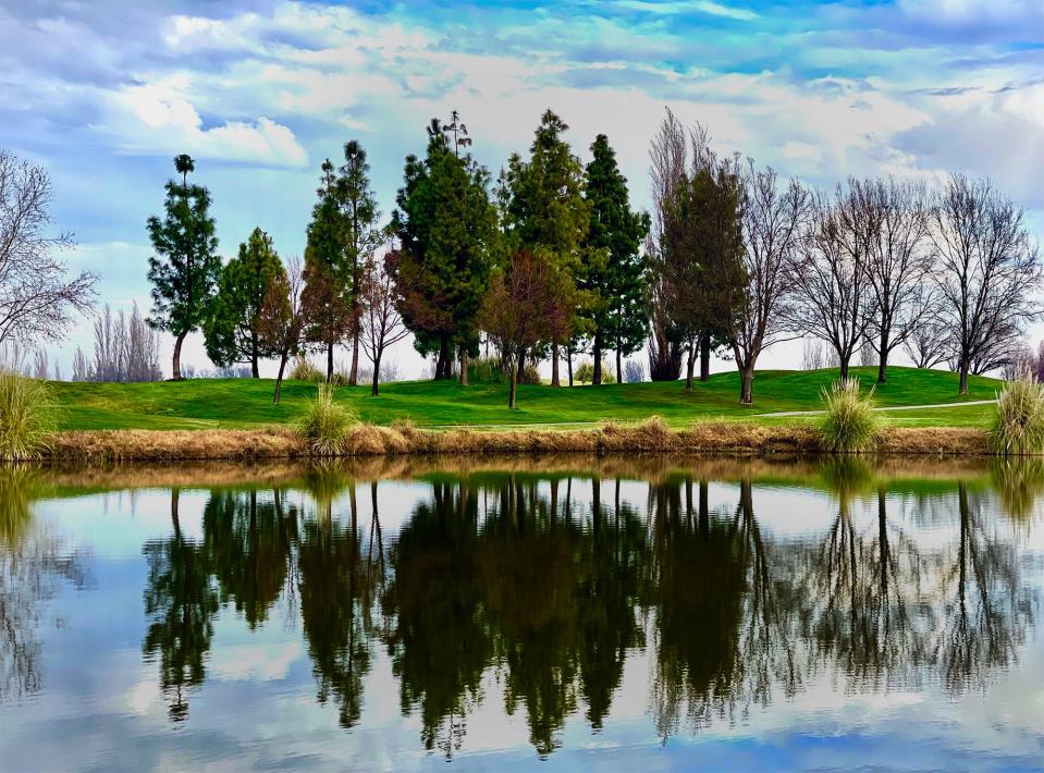 Robert Dutra of Stockton used an Apple iPhone 12 Pro max to photograph trees reflected in a lagoon at the Reserve at Spanos Park golf course in Stockton.