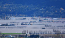 <p>A view of flooding in the Sumas Prairie area of Abbotsford British Columbia, Canada, on November 17, 2021. (Photo by Don MacKinnon / AFP) (Photo by DON MACKINNON/AFP via Getty Images)</p> 