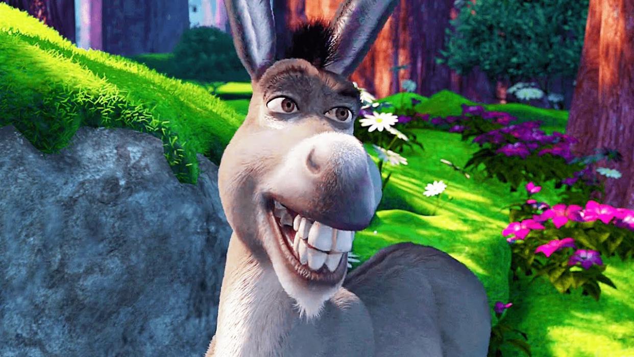  Donkey in Shrek movie 