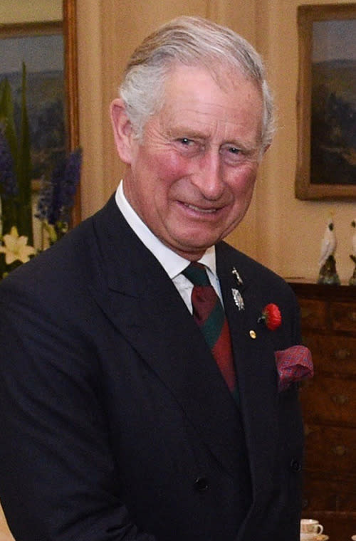 Prince Charles won't travel without his own white leather toilet seat! Princess Anne gave the seat to the Prince of Wales as a joke Christmas present, but he found it so comfortable that it now accompanies him on all his overseas trips.<br><b><a rel="nofollow" href="https://au.lifestyle.yahoo.com/new-idea/news/star-watch/" data-ylk="slk:CLICK HERE FOR THE LATEST CELEBRITY NEWS!;elm:context_link;itc:0;sec:content-canvas" class="link ">CLICK HERE FOR THE LATEST CELEBRITY NEWS!</a><b> <br><br></b></b>