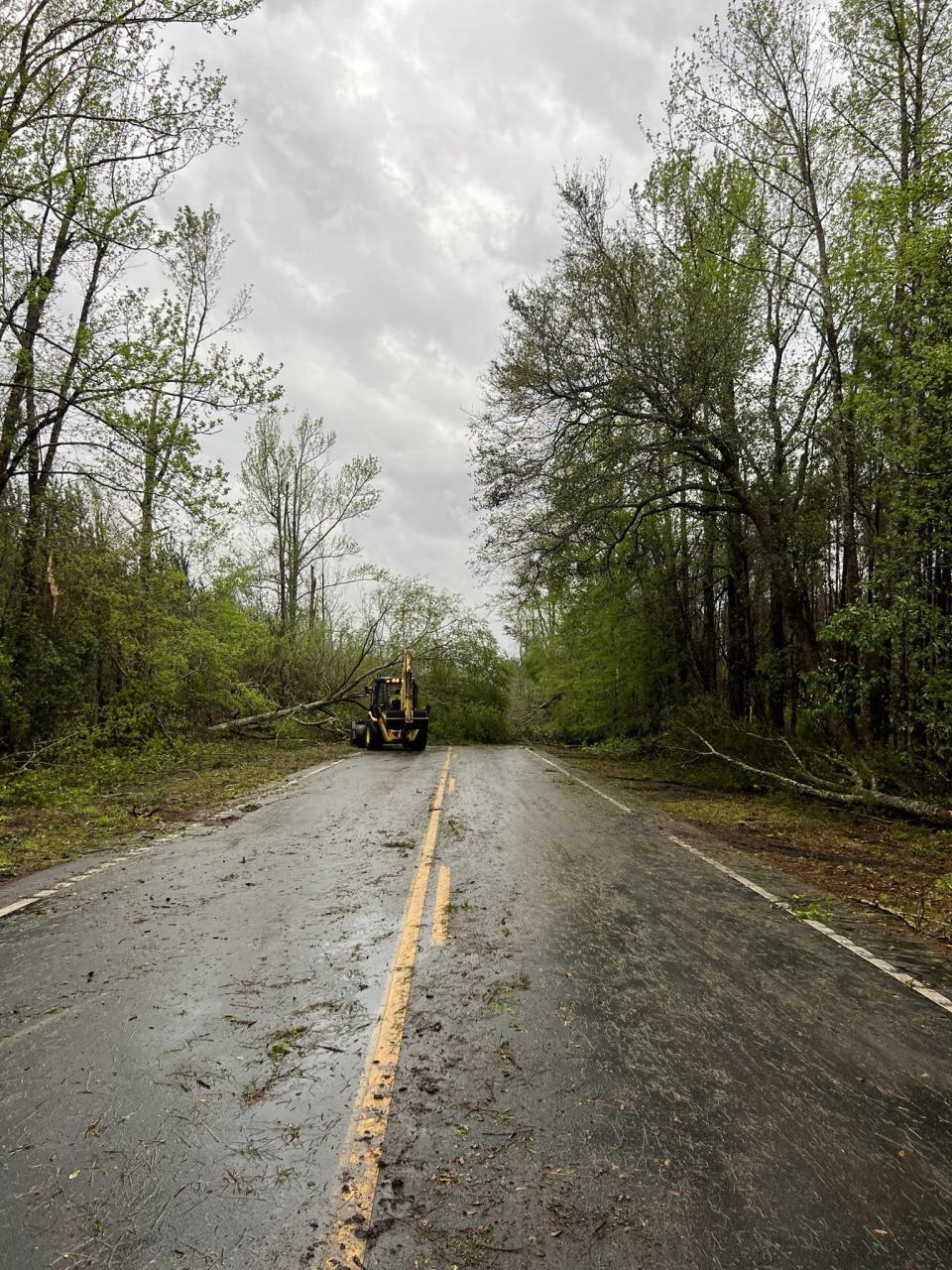 Storm damage in Allendale County.