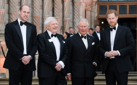 LONDON, ENGLAND - APRIL 04: Prince William, Duke of Cambridge, Sir David Attenborough, Prince Charles, Prince of Wales and Prince Harry, Duke of Sussex attend the "Our Planet" global premiere at Natural History Museum on April 04, 2019 in London, England. (Photo by Samir Hussein/Samir Hussein/WireImage) - Credit: Samir Hussein