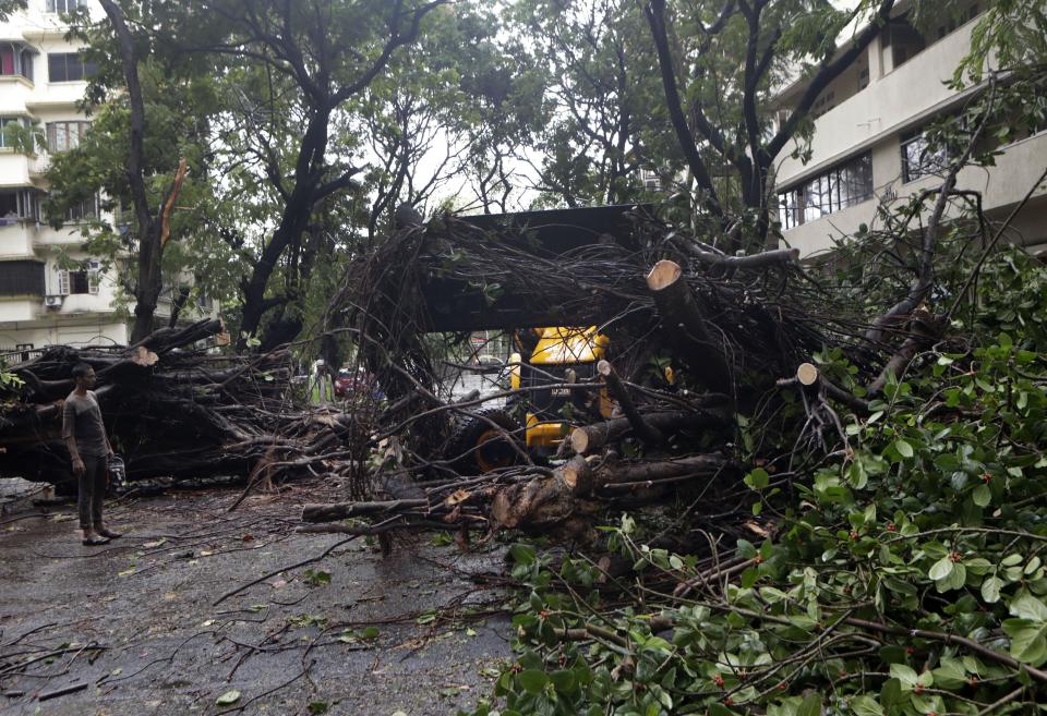 Trees uprooted because of strong winds during cyclone in Mumbai, India, Wednesday,(AP Photo/Rajanish Kakade)