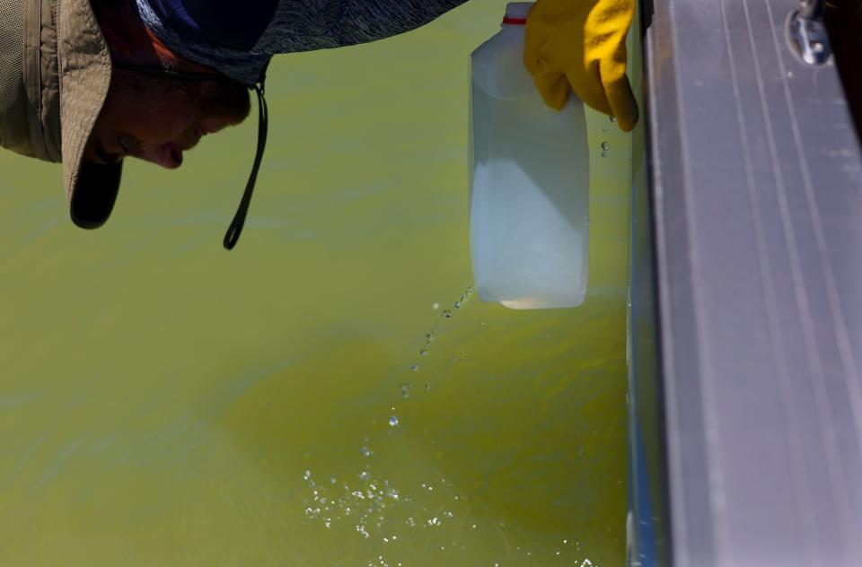 Cody Ellsworth, water quality technician for the Utah Division of Water Quality, collects a sample from Utah Lake on Thursday, July 13, 2023. Provo Bay at Utah Lake is under health advisories due to the outbreak of harmful algal blooms, or cyanobacteria, which can cause respiratory problems, skin irritation and in some cases it can be fatal for dogs. | Laura Seitz, Deseret News