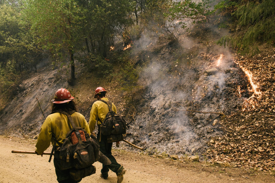 Fire crews hold the line and perform strategic firing operations on the McCash Fire on Aug. 23. (Alexandra Hootnick for Yahoo News)