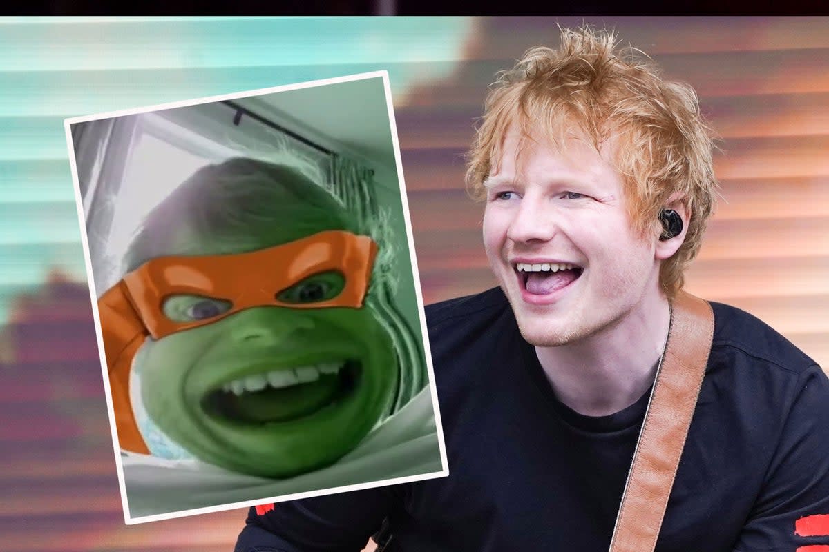 Ed Sheeran has left fans divided with odd Ninja Turtle vid  (ES Composite)