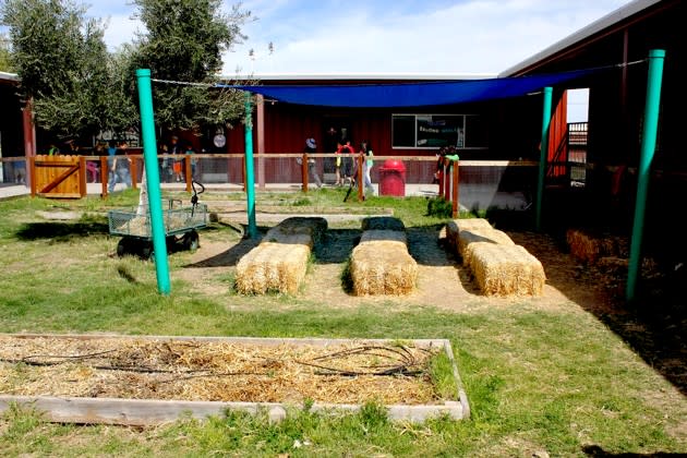 The Edible Schoolyard at the Ajo public school (Deborah Fallows / The Atlantic)