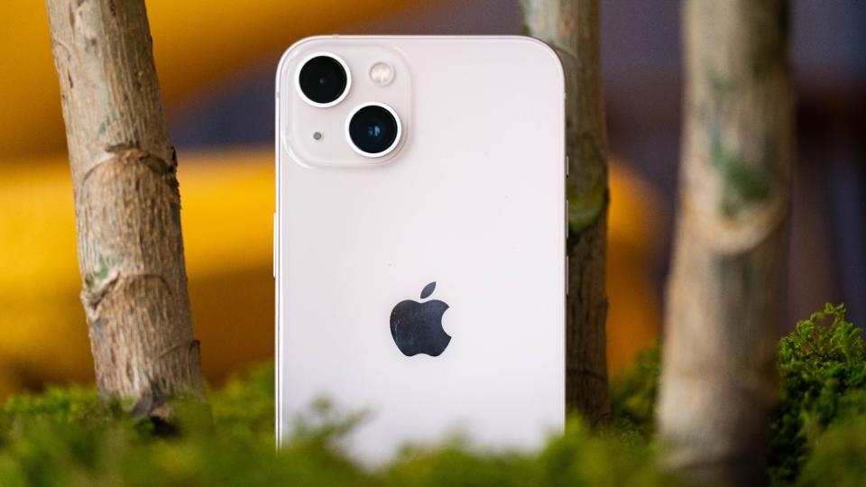 A pink iPhone 13 nestled in a planter with its rear cameras facing us.