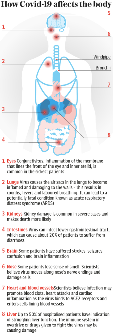 How Covid-19 affects the body