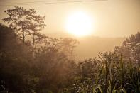 Sunset on the Finca.