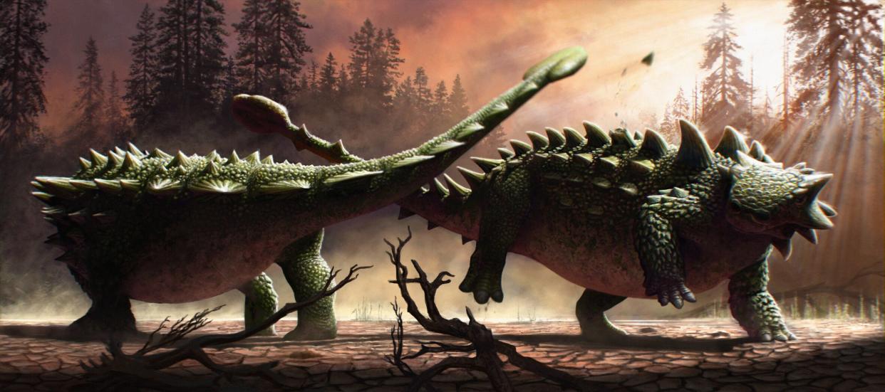 Ankylosaurus may have battled each other, not just tyrannosaurs (Henry Sharpe)  