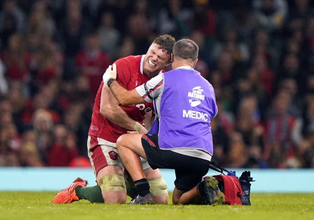 Wales v Argentina – Autumn International – Principality Stadium